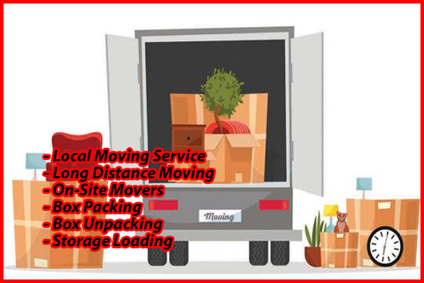 Packers And Movers Noida Sector 145